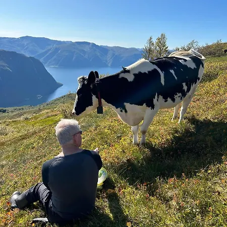 펜션 Stol Ved Sognefjorden